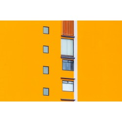 Paints and Renders Paints and Renders