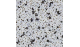 DOLOMITE 3 