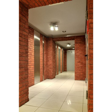 Roben Formback Light Red Shaded Tile