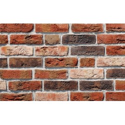 Roben Dykbrand Flemish Shaded Facing Brick Roben Dykbrand Flemish Shaded Facing Brick
