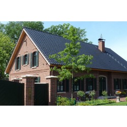 Roben Wiesmoor Light Red Shaded Facing Brick Roben Wiesmoor Light Red Shaded Facing Brick