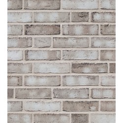 Roben Wiesmoor Light Grey Shaded Facing Brick Roben Wiesmoor Light Grey Shaded Facing Brick