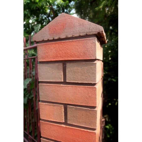 Roben Shaped Brick Type 119