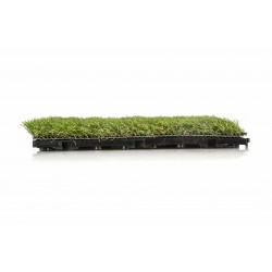 Quick Installation Tiles with Grass Quick Installation Tiles with Grass