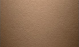 Chestnut Brown 