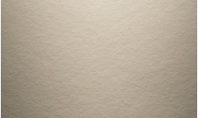 Monterey Taupe 